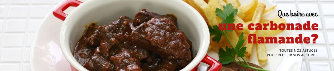 Illustration de l'article Quelle bière avec une carbonade Flamande ?